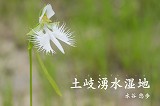 【写真集】土岐湧水湿地